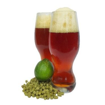 Mangrove Jack's Craft Series Hopped Pils