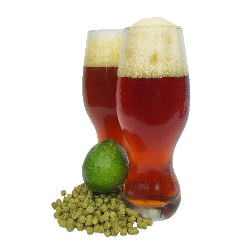 LR Product Image2 500x500 Mangrove Jack's Craft Series Hopped Pils