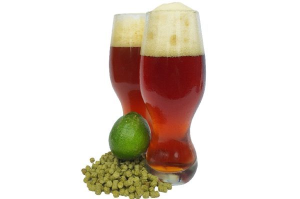 Home Brew Republic Brew Review Mangrove Jack's Craft series New Zealand Pilsner