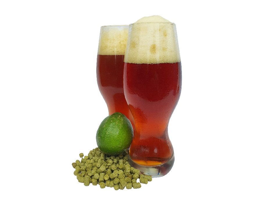 Home Brew Republic Brew Review Mangrove Jack's Craft series New Zealand Pilsner