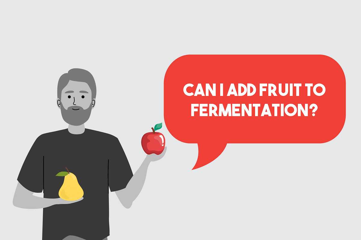 Can I Add Fruit To Home Brew - Can I Add Fruit To Primary Fermentation