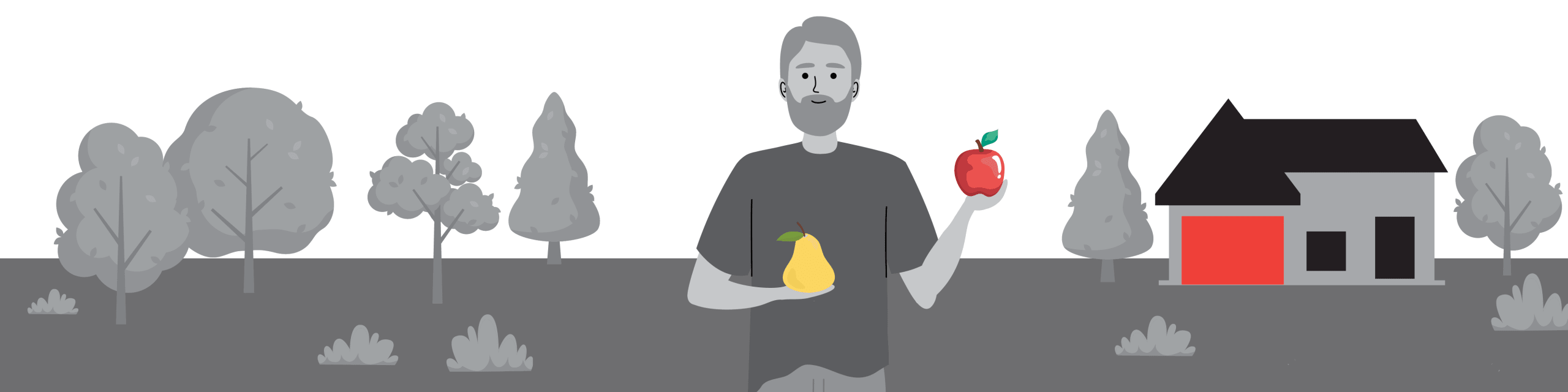 Can I Add Fruit To Home Brew - Can I Add Fruit During Primary Fermentation